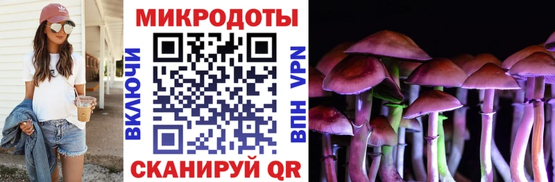 Псилоцибиновые грибы Psilocybe Североморск